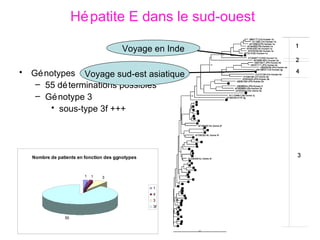 Hépatite E dans le sud-ouest Génotypes 55 déterminations possibles Génotype 3  sous-type 3f +++ Voyage en Inde Voyage sud-est asiatique 