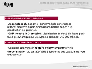 LES PROGRAMMES TIC/SANTÉ EN COURS


 -Assemblage du génome : benchmark de performance
 utilisant différents programmes d'assemblage dédiés à la
 construction de génomes.
 -GDP_release in G-proteins : visualisation de sortie de ligand pour
 90ns de dynamique sur un système comptant 260 000 atomes.

LES PROJETS TIC/SANTÉ EN ATTENTES


 -Calcul de la tension de rupture d’anévrisme intracrânien
 -Reconstitution 3D par approche Bayésienne des capteurs de type
 ultrasonique
 