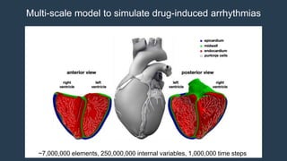 Multi-scale model to simulate drug-induced arrhythmias
~7,000,000 elements, 250,000,000 internal variables, 1,000,000 time steps
 