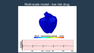 Multi-scale model - low risk drug
 