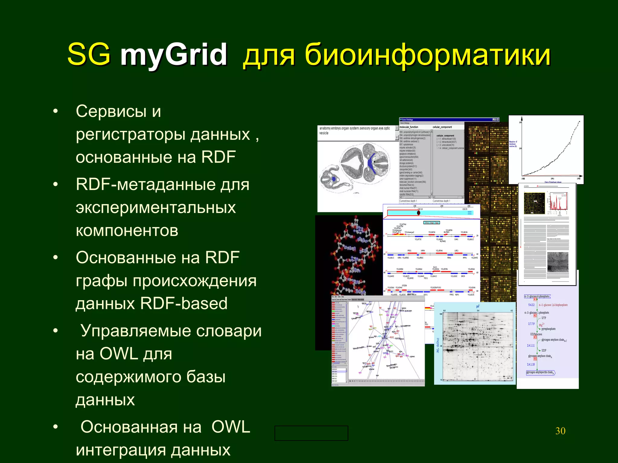 SG   myGrid   для биоинформатики Сервисы  и регистраторы данных  ,   основанные на RDF RDF- метаданные для экспериментальных компонентов Основанные на  RDF  графы происхождения  данных  RDF-based  Управляемые словари  на  OWL  для содержимого базы данных  Основанная на  OWL  интеграция данных 