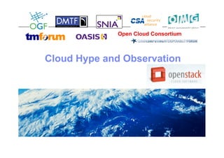 Open Cloud Consortium



Cloud Hype and Observation
 