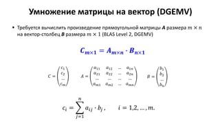 Умножение матрицы на вектор (DGEMV)
𝐴 =
𝑎11 𝑎12 … 𝑎1𝑛
𝑎21 𝑎22 … 𝑎2𝑛
… … … …
𝑎 𝑚1 𝑎 𝑚2 … 𝑎 𝑚𝑛
𝐵 =
𝑏1
𝑏2
…
𝑏 𝑛
𝑐𝑖 = ෍
𝑗=1
𝑛
𝑎𝑖𝑗 ∙ 𝑏𝑗 , 𝑖 = 1,2, … , 𝑚.
𝑪 𝒎×𝟏 = 𝑨 𝒎×𝒏 ∙ 𝑩 𝒏×𝟏
 Требуется вычислить произведение прямоугольной матрицы A размера 𝑚 × 𝑛
на вектор-столбец B размера 𝑚 × 1 (BLAS Level 2, DGEMV)
𝐶 =
𝑐1
𝑐2
…
𝑐 𝑚
 