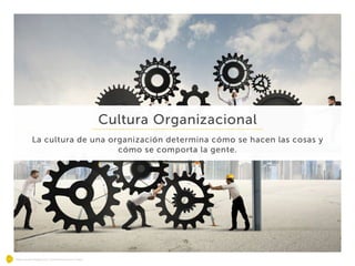 Mejorando Negocios, Transformando Vidas.
Cultura Organizacional
La cultura de una organización determina cómo se hacen las cosas y
cómo se comporta la gente.
 