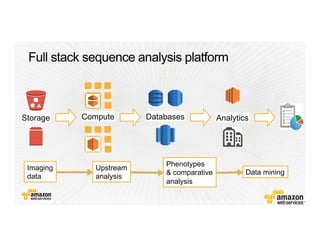 Compute AnalyticsDatabasesStorage
Imaging
data
Phenotypes
& comparative
analysis
Upstream
analysis
Data mining
 