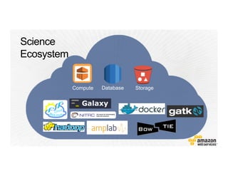 StorageDatabaseCompute
 