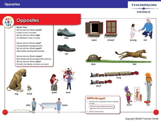 download thomson dictionaries download thomson dictionaries