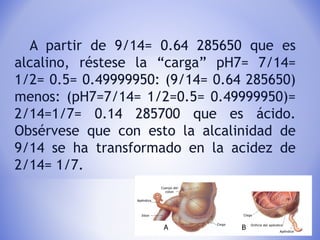 A partir de 9/14= 0.64 285650 que es
alcalino, réstese la “carga” pH7= 7/14=
1/2= 0.5= 0.49999950: (9/14= 0.64 285650)
menos: (pH7=7/14= 1/2=0.5= 0.49999950)=
2/14=1/7= 0.14 285700 que es ácido.
Obsérvese que con esto la alcalinidad de
9/14 se ha transformado en la acidez de
2/14= 1/7.
 