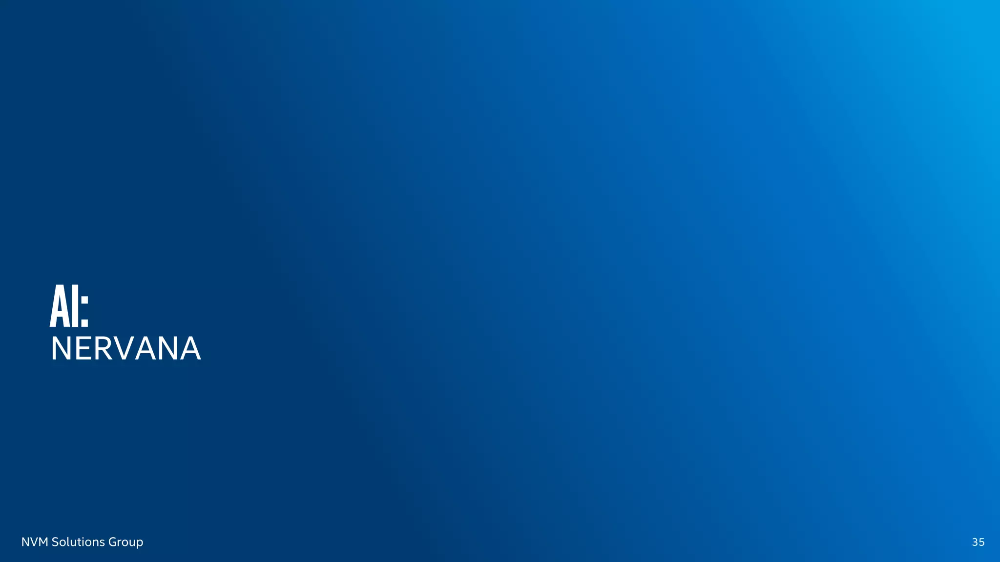 NVM Solutions Group
AI:
NERVANA
35
 