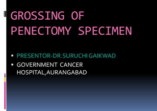 GROSSING OF
PENECTOMY SPECIMEN
 PRESENTOR-DR.SURUCHI GAIKWAD
 GOVERNMENT CANCER
HOSPITAL,AURANGABAD
 