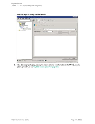 Selecting MySQL binary files for restore
5. In the Options property page, specify the restore options. For information on the MySQL-specific
options, press F1, or see "MySQL restore options" on page 440.
Integration Guide
Chapter 11: Data Protector MySQL integration
HPE Data Protector (9.07) Page 438 of 803
 