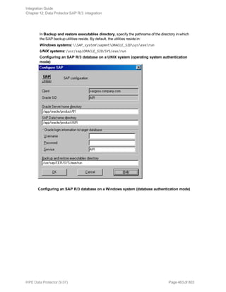 In Backup and restore executables directory, specify the pathname of the directory in which
the SAP backup utilities reside. By default, the utilities reside in:
Windows systems: SAP_systemsapmntORACLE_SIDsysexerun
UNIX systems: /usr/sap/ORACLE_SID/SYS/exe/run
Configuring an SAP R/3 database on a UNIX system (operating system authentication
mode)
Configuring an SAP R/3 database on a Windows system (database authentication mode)
Integration Guide
Chapter 12: Data Protector SAP R/3 integration
HPE Data Protector (9.07) Page 463 of 803
 