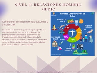 N I V E L 4 : R E L A C I O N E S H O M B R E -
M E D I O
Condiciones socioeconómicas, culturales y
ambientales
Los alcances del marco jurídico-legal vigente, las
estrategias de lucha contra la pobreza y de
promoción del crecimiento económico, las
transacciones electivas entre la equidad y la
eficiencia, entre el capital y el trabajo, la intensidad
de las políticas redistributivas, las oportunidades
para la construcción de ciudadanía.
L O S D E T E R M I N A N T E S S O C I A L E S D E L A S A L U D Y L A S F U N C I O N E S E S E N C I A L E S D E L A S A L U D P Ú B L I C A S O C I A L P A L A B R A S C L A V E F A C T O R E S B I O L Ó G I C O S Y C A U D A L G E N É T I C O . ( N . D . ) .
H T T P S : / / W W W . M E D I G R A P H I C . C O M / P D F S / S A L J A L I S C O / S J - 2 0 1 4 / S J 1 4 1 J . P D F
 