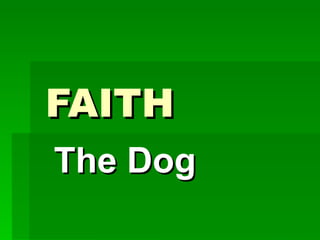 FAITH The Dog 