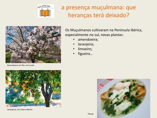 Os Muçulmanos cultivaram na Península Ibérica,
especialmente no sul, novas plantas:
• amendoeira;
• laranjeira;
• limoeiro;
• figueira…
Amendoeira em flor, em Loulé.
Laranjeira, em Castro Marim.
Tharid.
a presença muçulmana: que
heranças terá deixado?
 