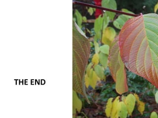 THE END


          Web 2.0   34
 