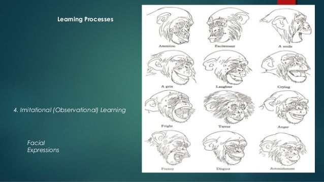 of processes observational 4 learning and Promotion Health 2 Introduction Health Education Part to