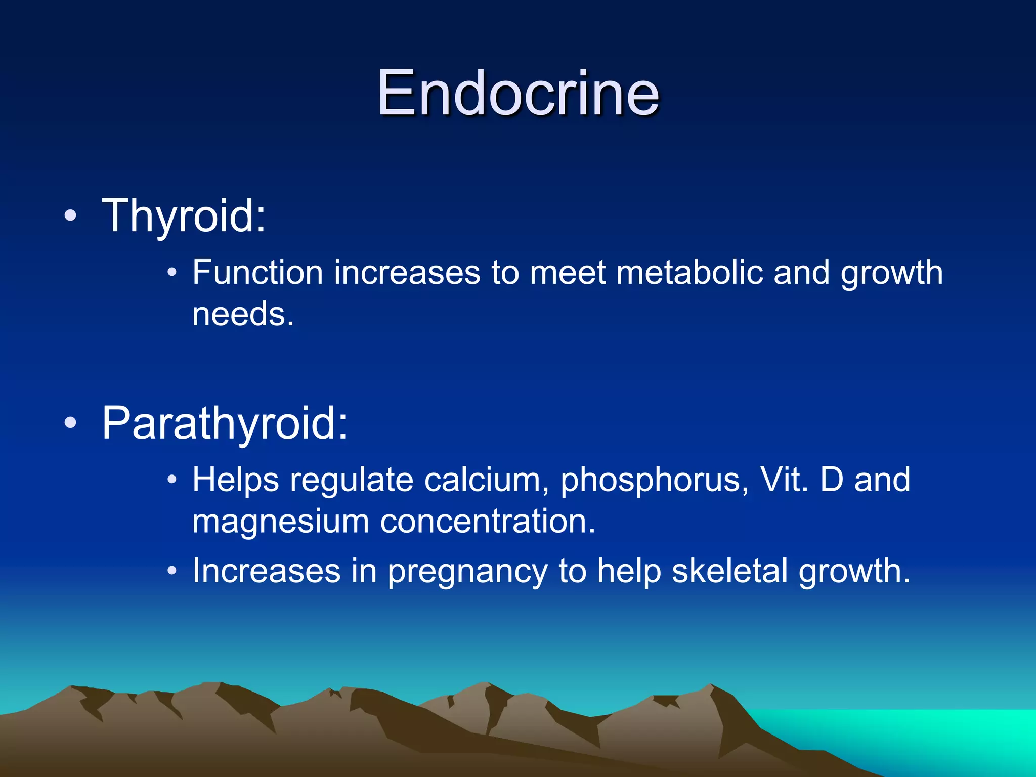 EndocrineThyroid:Function increases to meet metabolic and growth needs.Parathyroid:Helps regulate calcium, phosphorus, Vit. D and magnesium concentration.Increases in pregnancy to help skeletal growth.