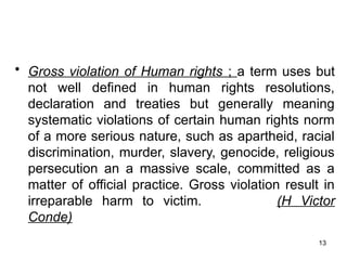 Systematic Rights Violations Comprehensive Overview of International Criminal Law and Serious Human ...