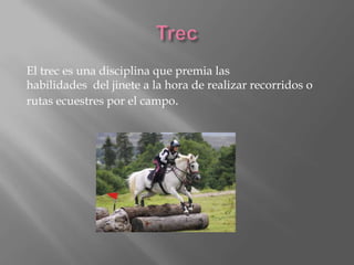 El trec es una disciplina que premia las
habilidades del jinete a la hora de realizar recorridos o
rutas ecuestres por el campo.

 
