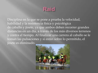 Disciplina en la que se pone a prueba la velocidad,
habilidad y la resistencia física y psicológica
de caballo y jinete, ya que ambos deben recorrer grandes
distancias en un día, a través de los más diversos terrenos
y contra el tiempo. Al finalizar una carrera al caballo se le
toman las pulsaciones y si están sobre lo permitido, el
jinete es eliminado.

 