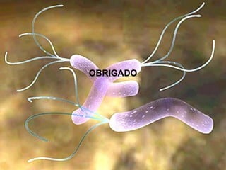 OBRIGADO 