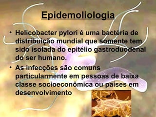 Epidemoliologia Helicobacter pylori é uma bactéria de distribuição mundial que somente tem sido isolada do epitélio gastroduodenal do ser humano. As infecções são comuns  particularmente em pessoas de baixa classe socioeconômica ou países em desenvolvimento 