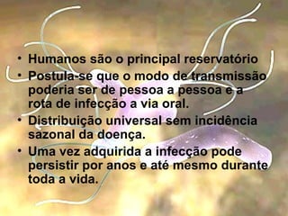 Humanos são o principal reservatório Postula-se que o modo de transmissão poderia ser de pessoa a pessoa e a rota de infecção a via oral. Distribuição universal sem incidência sazonal da doença. Uma vez adquirida a infecção pode persistir por anos e até mesmo durante toda a vida. 