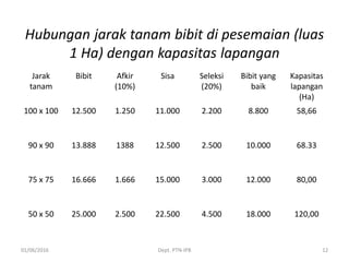 Hubungan jarak tanam bibit di pesemaian (luas
1 Ha) dengan kapasitas lapangan
Jarak
tanam
Bibit Afkir
(10%)
Sisa Seleksi
(20%)
Bibit yang
baik
Kapasitas
lapangan
(Ha)
100 x 100 12.500 1.250 11.000 2.200 8.800 58,66
90 x 90 13.888 1388 12.500 2.500 10.000 68.33
75 x 75 16.666 1.666 15.000 3.000 12.000 80,00
50 x 50 25.000 2.500 22.500 4.500 18.000 120,00
01/06/2016 Dept. PTN-IPB 12
 