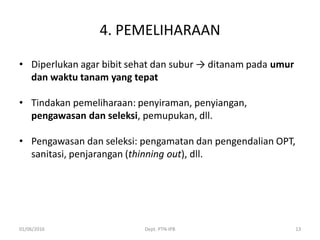 4. PEMELIHARAAN
• Diperlukan agar bibit sehat dan subur → ditanam pada umur
dan waktu tanam yang tepat
• Tindakan pemeliharaan: penyiraman, penyiangan,
pengawasan dan seleksi, pemupukan, dll.
• Pengawasan dan seleksi: pengamatan dan pengendalian OPT,
sanitasi, penjarangan (thinning out), dll.
01/06/2016 Dept. PTN-IPB 13
 