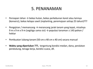 5. PENANAMAN
• Persiapan lahan → bekas hutan, bekas perkebunan karet atau lainnya
(konversi), bekas kelapa sawit (replanting, peremajaan setiap 25 tahun)???
• Pengajiran / memancang → merancang jarak tanam yang tepat, misalnya
9 m x 9 m x 9 m (segitiga sama sisi) → populasi tanaman ± 143 pohon /
hektar
• Pembuatan lubang tanam (50 cm x 40 cm x 40 cm) secara manual
• Waktu yang diperlukan ???, tergantung kondisi medan, dana, peralatan
pendukung, tenaga kerja, kondisi cuaca, dll.
01/06/2016 Dept. PTN-IPB 14
 