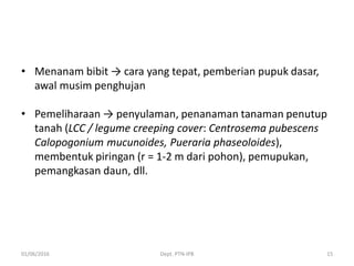• Menanam bibit → cara yang tepat, pemberian pupuk dasar,
awal musim penghujan
• Pemeliharaan → penyulaman, penanaman tanaman penutup
tanah (LCC / legume creeping cover: Centrosema pubescens
Calopogonium mucunoides, Pueraria phaseoloides),
membentuk piringan (r = 1-2 m dari pohon), pemupukan,
pemangkasan daun, dll.
01/06/2016 Dept. PTN-IPB 15
 