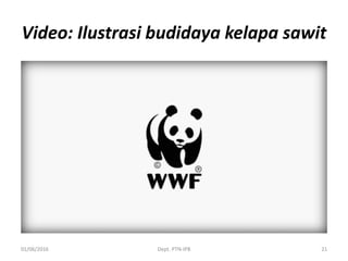 Video: Ilustrasi budidaya kelapa sawit
01/06/2016 Dept. PTN-IPB 21
 