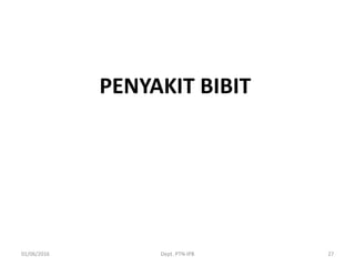 PENYAKIT BIBIT
01/06/2016 Dept. PTN-IPB 27
 