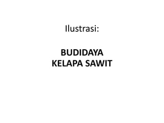 Ilustrasi:
BUDIDAYA
KELAPA SAWIT
 
