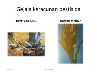 Gejala keracunan pestisida
Herbisida 2,4 D Organo-merkuri
01/06/2016 Dept. PTN-IPB 44
 