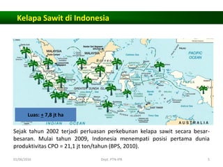 Kelapa Sawit di Indonesia
Sejak tahun 2002 terjadi perluasan perkebunan kelapa sawit secara besar-
besaran. Mulai tahun 2009, Indonesia menempati posisi pertama dunia
produktivitas CPO = 21,1 jt ton/tahun (BPS, 2010).
Luas: + 7,8 jt ha
01/06/2016 Dept. PTN-IPB 5
 