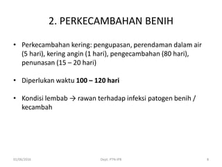 2. PERKECAMBAHAN BENIH
• Perkecambahan kering: pengupasan, perendaman dalam air
(5 hari), kering angin (1 hari), pengecambahan (80 hari),
penunasan (15 – 20 hari)
• Diperlukan waktu 100 – 120 hari
• Kondisi lembab → rawan terhadap infeksi patogen benih /
kecambah
01/06/2016 Dept. PTN-IPB 8
 