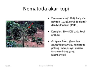 Nematoda akar kopi
 Zimmermann (1898), Bally dan
Reydon (1931), serta de Fluiter
dan Mulholland (1941)
 Kerugian: 30 – 80% pada kopi
arabika
 Pratylenchus coffeae dan
Radopholus similis, nematoda
polifag (mempunyai kisaran
tanaman inang yang
luas/banyak)
9/6/2012 Dr.Supramana,PTN-IPB 13
 