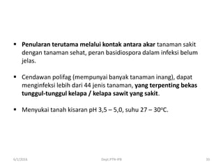  Penularan terutama melalui kontak antara akar tanaman sakit
dengan tanaman sehat, peran basidiospora dalam infeksi belum
jelas.
 Cendawan polifag (mempunyai banyak tanaman inang), dapat
menginfeksi lebih dari 44 jenis tanaman, yang terpenting bekas
tunggul-tunggul kelapa / kelapa sawit yang sakit.
 Menyukai tanah kisaran pH 3,5 – 5,0, suhu 27 – 30oC.
6/1/2016 Dept.PTN-IPB 33
 