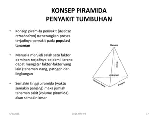KONSEP PIRAMIDA
PENYAKIT TUMBUHAN
• Konsep piramida penyakit (disease
tetrahedron) menerangkan proses
terjadinya penyakit pada populasi
tanaman
• Manusia menjadi salah satu faktor
dominan terjadinya epidemi karena
dapat mengatur faktor-faktor yang
lain (tanaman inang, patogen dan
lingkungan
• Semakin tinggi piramida (waktu
semakin panjang) maka jumlah
tanaman sakit (volume piramida)
akan semakin besar
6/1/2016 Dept.PTN-IPB 37
 