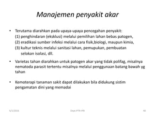 Manajemen penyakit akar
• Terutama diarahkan pada upaya-upaya pencegahan penyakit:
(1) penghindaran (eksklusi) melalui pemilihan lahan bebas patogen,
(2) eradikasi sumber infeksi melalui cara fisik,biologi, maupun kimia,
(3) kultur teknis melalui sanitasi lahan, pemupukan, pembuatan
selokan isolasi, dll.
• Varietas tahan diarahkan untuk patogen akar yang tidak polifag, misalnya
nematoda parasit tertentu misalnya melalui penggunaan batang bawah yg
tahan
• Kemoterapi tanaman sakit dapat dilakukan bila didukung sistim
pengamatan dini yang memadai
6/1/2016 Dept.PTN-IPB 40
 