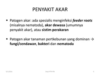 PENYAKIT AKAR
 Patogen akar: ada spesialis menginfeksi feeder roots
(misalnya nematoda), akar dewasa (umumnya
penyakit akar), atau sistim perakaran
 Patogen akar tanaman pertkebunan yang dominan →
fungi/cendawan, bakteri dan nematoda
6/1/2016 Dept.PTN-IPB 6
 