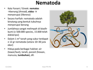 Nematoda
• Kata Yunani / Greek: nematos
→benang (thread), eidos →
menyerupai (likeness)
• Secara harfiah: nematoda adalah
binatang yang bentuk tubuhnya
menyerupai benang
• Jumlahnya sangat melimpah di biosfir
bumi (± 500.000 species, 15.000 telah
didiskripsi)
• Dalam 1 m2 tanah yang subur terdapat
± 12 gr nematoda (setara 10–30 juta
ekor)
• Hidup pada berbagai habitat: air
(tawar/laut), tanah, parasit (hewan,
manusia, tumbuhan), dll.
6/1/2016 Dept.PTN-IPB 8
 