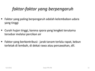 6/1/2016 Dept.PTN-IPB 12
faktor-faktor yang berpengaruh
 Faktor yang paling berpengaruh adalah kelembaban udara
yang tinggi
 Curah hujan tinggi, karena spora yang lengket terutama
tersebar melalui percikan air
 Faktor yang berkontribusi: jarak tanam terlalu rapat, kebun
terletak di lembah, di dekat rawa atau persawahan, dll.
 