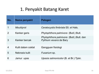 6/1/2016 Dept.PTN-IPB 33
1. Penyakit Batang Karet
No. Nama penyakit Patogen
1 Mouldyrot Ceratocystis fimbriata Ell. et Hals.
2 Kanker garis Phytophthora palmivora (Butl.) Butl.
3 Kanker bercak
Phytophthora palmivora (Butl.) Butl. dan
Pythium vexans de Bary
4 Kulit dalam coklat Gangguan fisiologi
5 Nekrosis kulit Fusarium sp.
6 Jamur upas Upasia salmonicolor (B. et Br.) Tjokr.
 