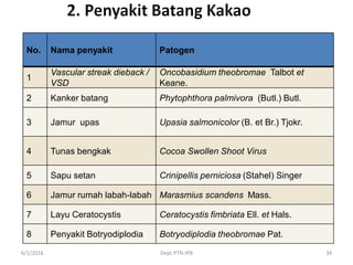 6/1/2016 Dept.PTN-IPB 34
No. Nama penyakit Patogen
1
Vascular streak dieback /
VSD
Oncobasidium theobromae Talbot et
Keane.
2 Kanker batang Phytophthora palmivora (Butl.) Butl.
3 Jamur upas Upasia salmonicolor (B. et Br.) Tjokr.
4 Tunas bengkak Cocoa Swollen Shoot Virus
5 Sapu setan Crinipellis perniciosa (Stahel) Singer
6 Jamur rumah labah-labah Marasmius scandens Mass.
7 Layu Ceratocystis Ceratocystis fimbriata Ell. et Hals.
8 Penyakit Botryodiplodia Botryodiplodia theobromae Pat.
 