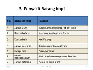 6/1/2016 Dept.PTN-IPB 35
No. Nama penyakit Patogen
1 Jamur upas Upasia salmonicolor (B. et Br.) Tjokr.
2 Kanker batang Ascospora coffeae von Faber
3 Kanker belah Armillaria sp.
4 Jamur Gardenia Corticium gardeniae Zimm.
5 Mati pucuk Rhizoctonia sp.
6
Jamur
Helicobasidium
Helicobasidium compactum Boedijn
7 Jamur Koleroga Koleroga noxia Donk
 