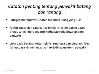 Catatan penting tentang penyakit batang
dan ranting
 Patogen mempunyai kisaran tanaman inang yang luas
 Faktor cuaca dan cara kultur teknis → kelembaban udara
tinggi, sangat berpengaruh terhadap terjadinya epidemi
penyakit
 Luka pada batang: kultur teknis, serangga dan binatang lain,
iklim/cuaca → meningkatkan terjadinya epidemi penyakit
 6/1/2016  Dept.PTN-IPB  37
 