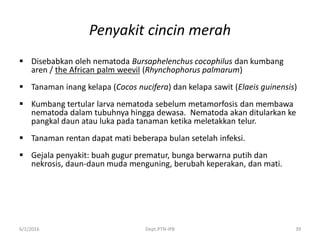 Penyakit cincin merah
 Disebabkan oleh nematoda Bursaphelenchus cocophilus dan kumbang
aren / the African palm weevil (Rhynchophorus palmarum)
 Tanaman inang kelapa (Cocos nucifera) dan kelapa sawit (Elaeis guinensis)
 Kumbang tertular larva nematoda sebelum metamorfosis dan membawa
nematoda dalam tubuhnya hingga dewasa. Nematoda akan ditularkan ke
pangkal daun atau luka pada tanaman ketika meletakkan telur.
 Tanaman rentan dapat mati beberapa bulan setelah infeksi.
 Gejala penyakit: buah gugur prematur, bunga berwarna putih dan
nekrosis, daun-daun muda menguning, berubah keperakan, dan mati.
6/1/2016 Dept.PTN-IPB 39
 